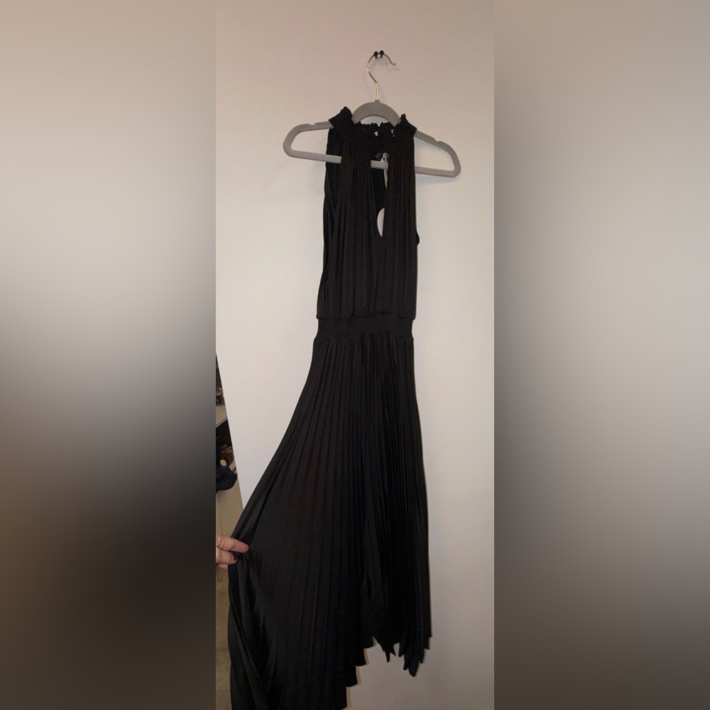 Petal & Pup Black Pleated Maxi Dress